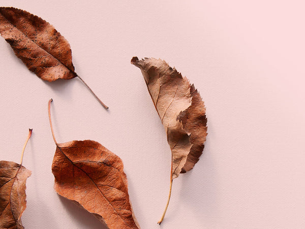 header_the difference between dry and dehydrated skin