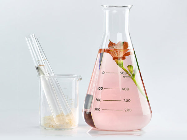 Header_ myths about certain ingredients